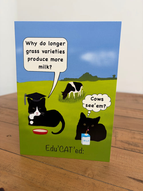 Edu’CAT’ed Cows see’em     (blank inside)