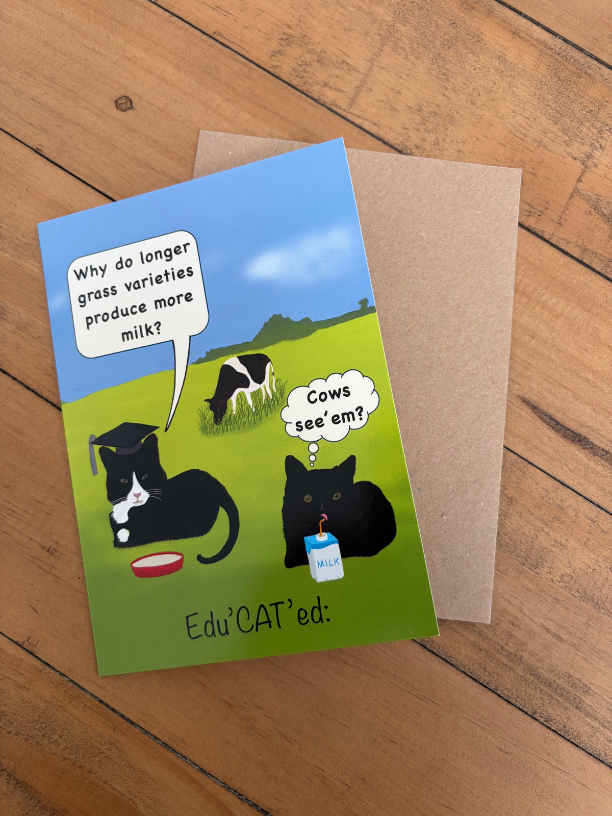 Edu’CAT’ed Cows see’em     (blank inside)