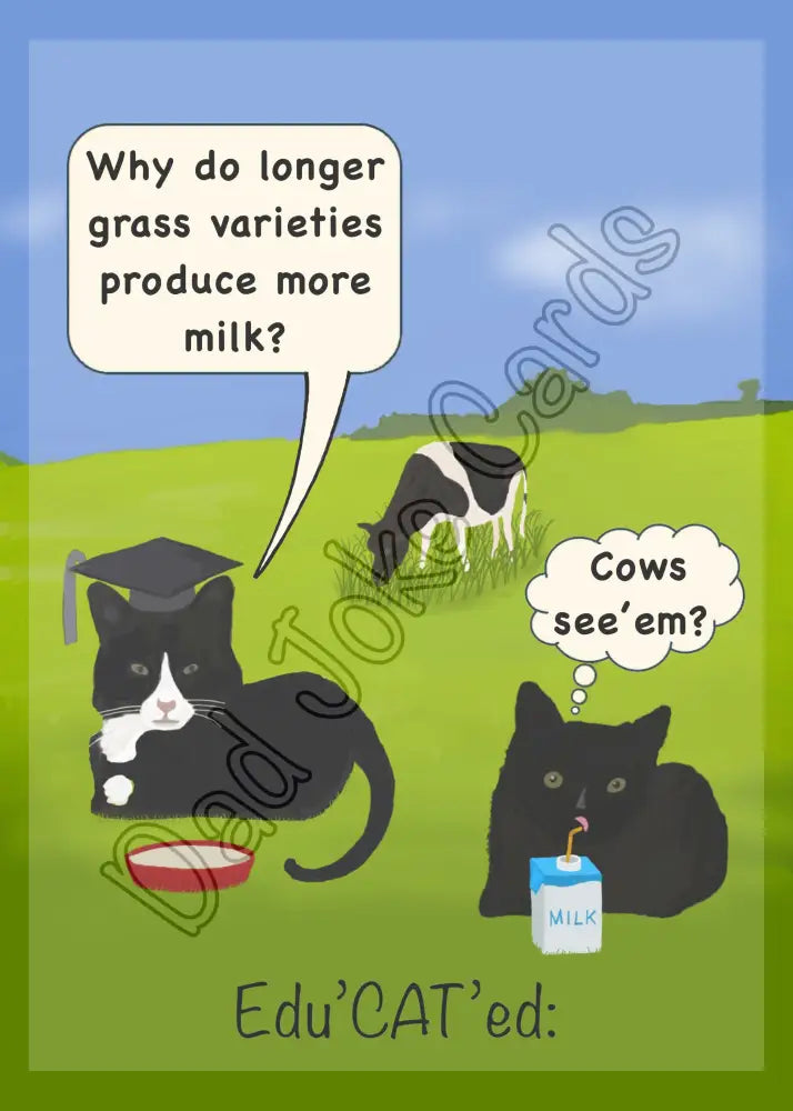 Edu’CAT’ed Cows see’em Greetings card