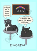 Edu’CAT’ed LGBTQ (blank inside) - Greetings card